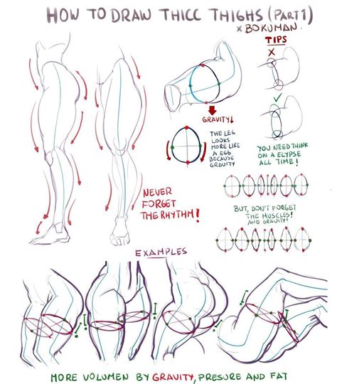 Bokuman Studio On Instagram How To Draw Thicc Thighs Part 1