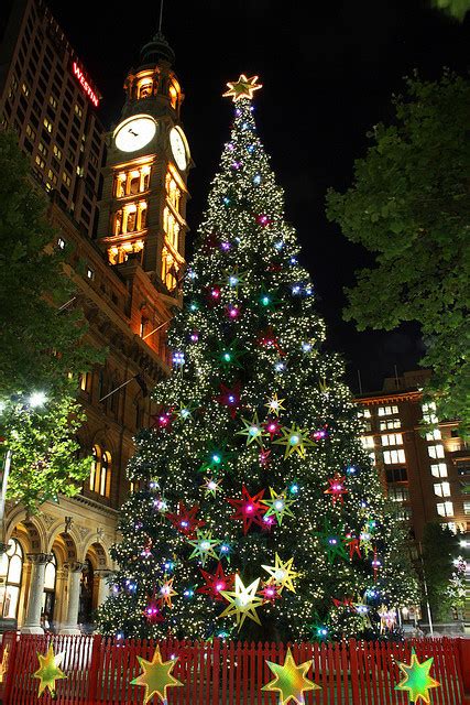 The Christmas Tree In Sydney Australia By Its A Beautiful World