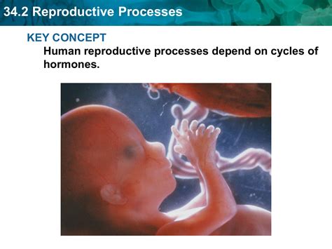342 Reproductive Processes