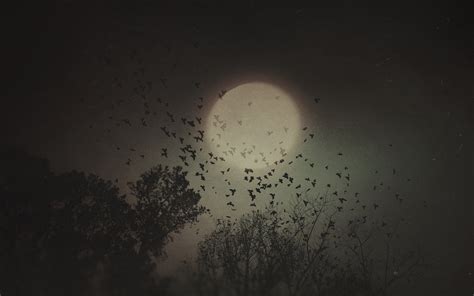 Winged Animals And Full Moon Digital Wallpaper Fantasy Art Crow