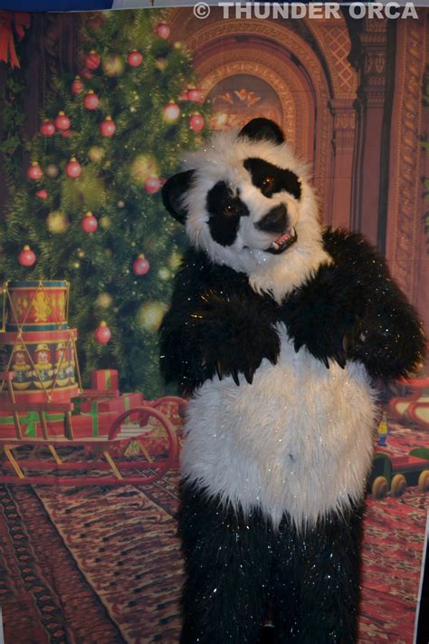 My Panda Fursuit Part 22 — Weasyl