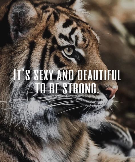 Tiger Quotes