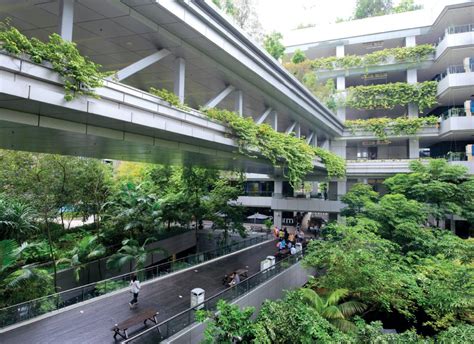 Biophilic Design Is King At This Singapore Hospital Gbandd