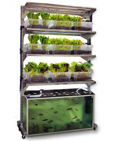 50 Fascinating Diy Indoor Aquaponics Fish Tank Ideas Indoor
