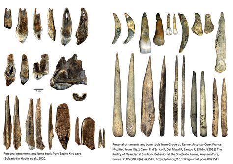 Oldest Upper Paleolithic Homo Sapiens In Europe Mirage News