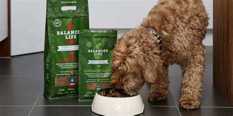 North carolina residents only can receive free samples by filling out an online form. Free Dog Food Sample from Balanced Life - Air Dried, Raw ...