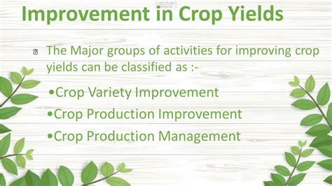 Ppt Class 9th Science Improvement In Crop Yield Powerpoint