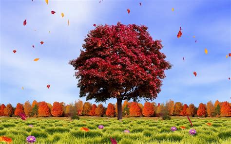 Autumn Tree Wallpaper And Background Image 1680x1050