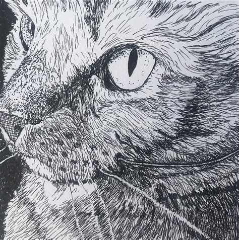 Pen And Ink Cat Drawing By Marita Mcveigh Pixels