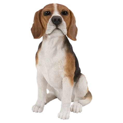 Dog Sitting Png Clipart Png Mart