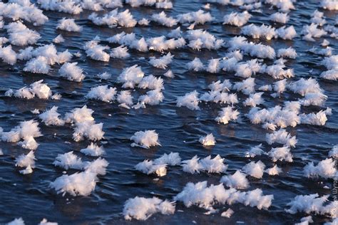 Flowering Frozen Lake Phenomenon ﻿thousands Of Rare Ice Flowers