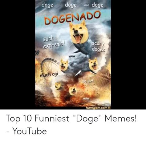 Doge Doge Doge And Dogenado Such Extreme Scary Doges Wow Much Cgi So La