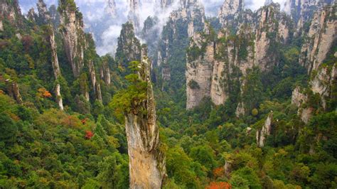 Wulingyuan National Park China Forest Zhangjiajie Hd Nature Wallpapers
