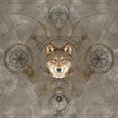 Wolf Sacred Geometry Digital Art Digital Art By Lioudmila Perry Fine