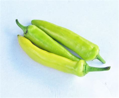 Hot Banana Pepper Capsicum Annuum Hungarian Yellow Wax In The Peppers Database