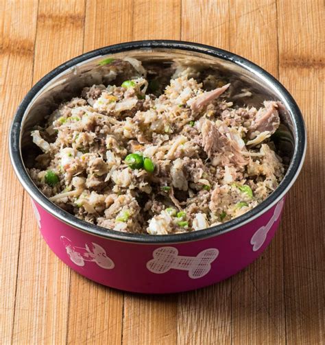 Place all meat, broth and coconut oil in large stock pot and cook gently on low to medium heat (do not cook on high heat, it destroys nutrients and enzymes) steam or boil vegetables separate until fully cooked and mix with meat mixture when all are done cooking. Healthy Homemade Dog Food - Tasty Low Carb in 2020 | Dog ...