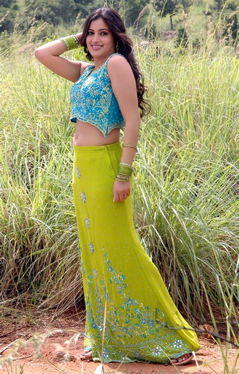 Navneet Kaur Hot In Saree Wallpapers Pictures Actresshot Pics