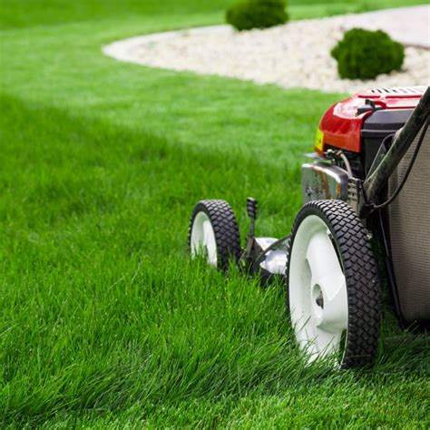 Best Practices Mowing Foxborough Ma Greenace Lawn Care Inc