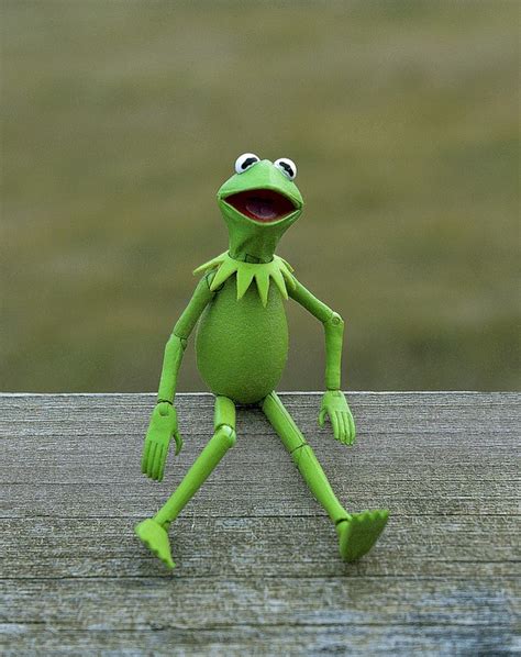 Muppet Kermit The Frog Hd