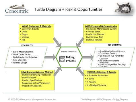 Instructions For Creating A Turtle Diagram Concentric Global