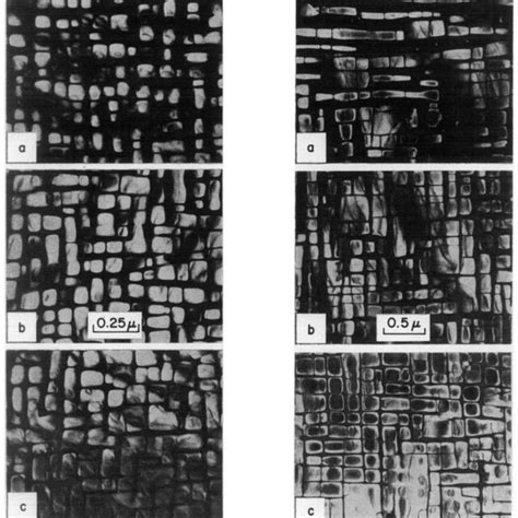 Dark Field Transmission Electron Micrographs Of Rhr Y Precipitate In Download Scientific