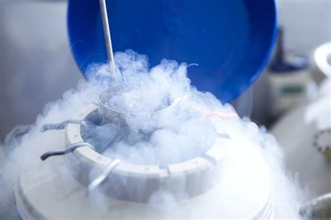 What Is Cryogenics And How Does Freezing Bodies Work Science News