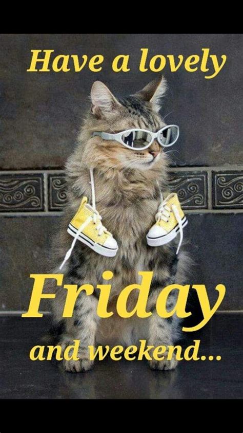 Pin By Anita Wandrag On Friday Funny Friday Memes Its Friday Quotes