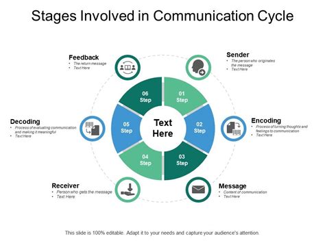 Stages Of The Communication Cycle