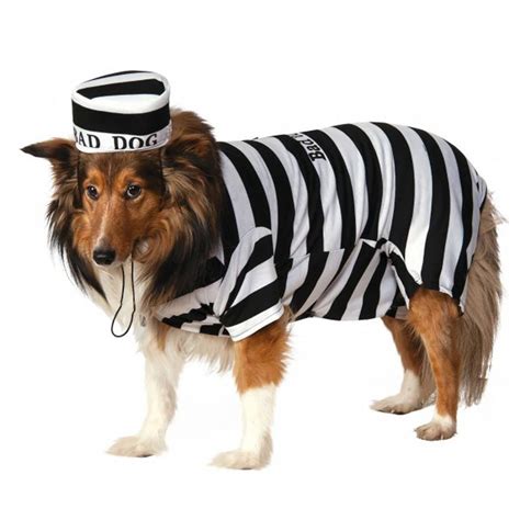 Prison Dog Halloween Costume Cute Dog Costumes Pet Halloween Costumes