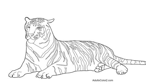 Coloring pages are fun for children of all ages and are a great educational tool that helps children develop fine motor skills, creativity and color recognition! Tiger Coloring Pages: Powerful Pussycats