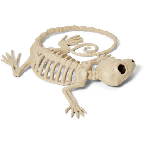 Halloween Small Animal Skeleton Assorted Big W