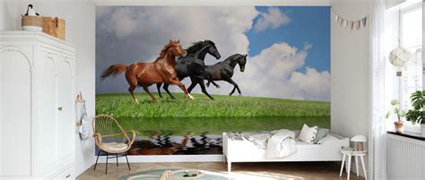 Gallop Horses Wall Murals Online Photowall