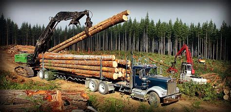 The industry is the 4th largest in malaysia. logging industry - Google Search | Logging industry ...