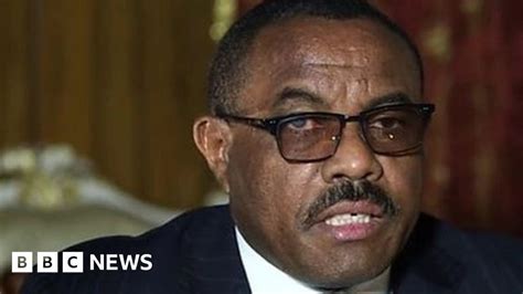 Ethiopia Prime Minister Rejects Un Probe Into Protest Deaths Bbc News