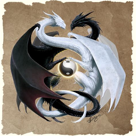 Dragon Yin Et Yang Papier Peint Ying Yang 1000x1000 Wallpapertip