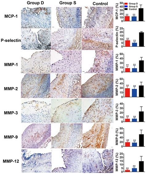 Immunohistochemical Staining Of The Inflammatory Markers In The Aortic