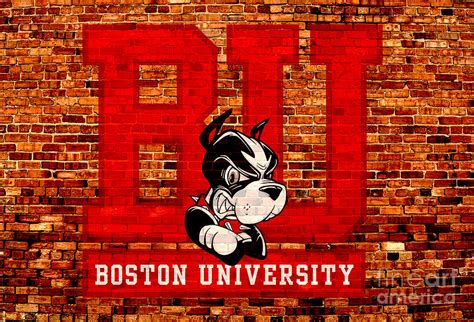 Boston University Terriers Digital Art By Steven Parker Fine Art America