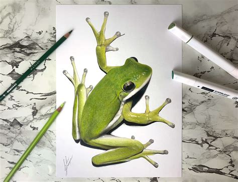 How To Draw A Realistic Frog
