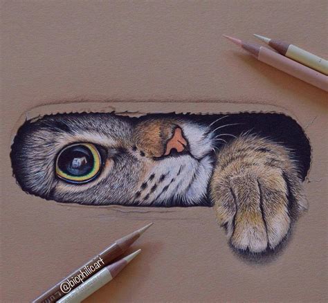 Animales Dibujos A Lapiz Pin By Ashly Leal On Dibujos A Lapiz Pencil