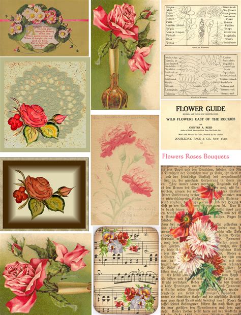 Free Collage Sheets By Art And Imagesbykim Vintage Ephemera Vintage