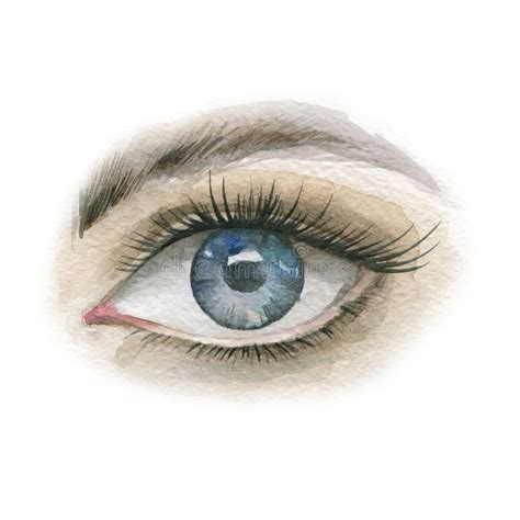 Large Human Eye Wide Open Watercolor Drawing Stock Illustration