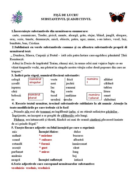 Fise De Lucru Romana Clasa 3 Substantivul Si Adjectivul