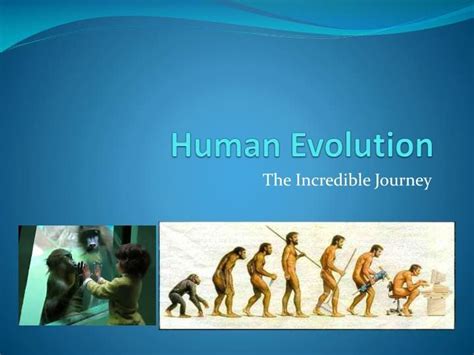 Human Evolution Ppt Human Evolution Evolution Human Species