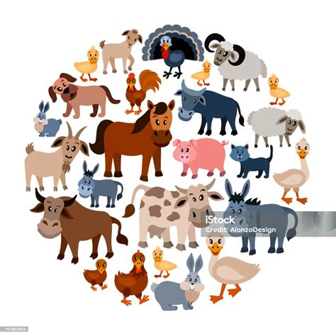 Farm Animals Collage Stock Illustration Download Image Now