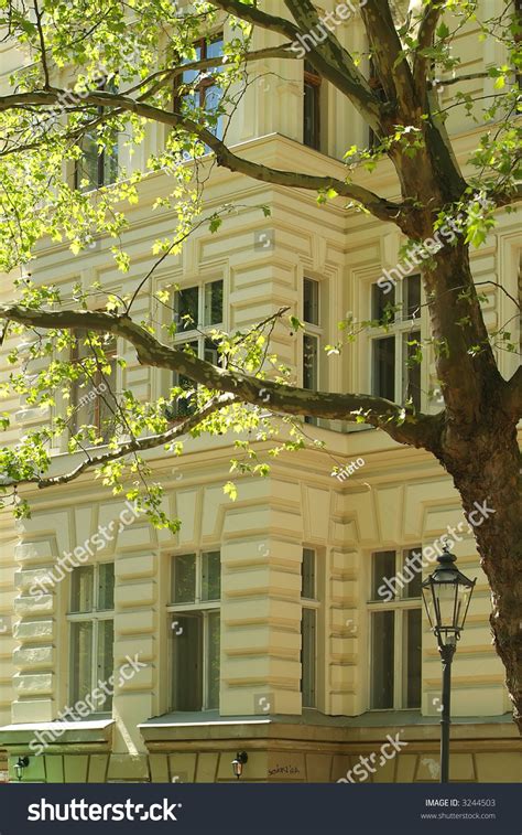 Spring Tree In Front Of An Old Apartment Building Stock Photo 3244503