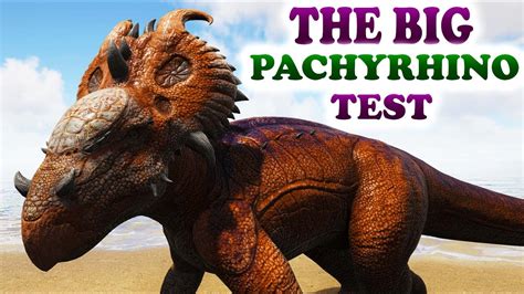 The Big Pachyrhinosaurus Test Pvp All Passive Creatures Ark Survival