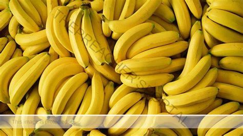Health Benefits Of Banana For Men You Need To Know The Preachers Portal