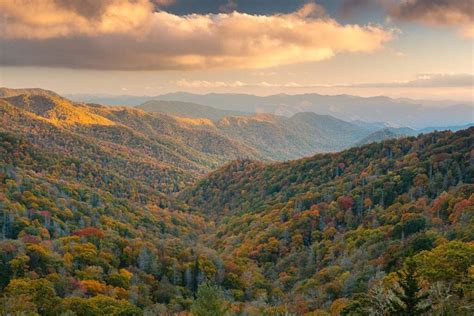 The 12 Best Spots To See Tennessees Fall Foliage Territory Supply