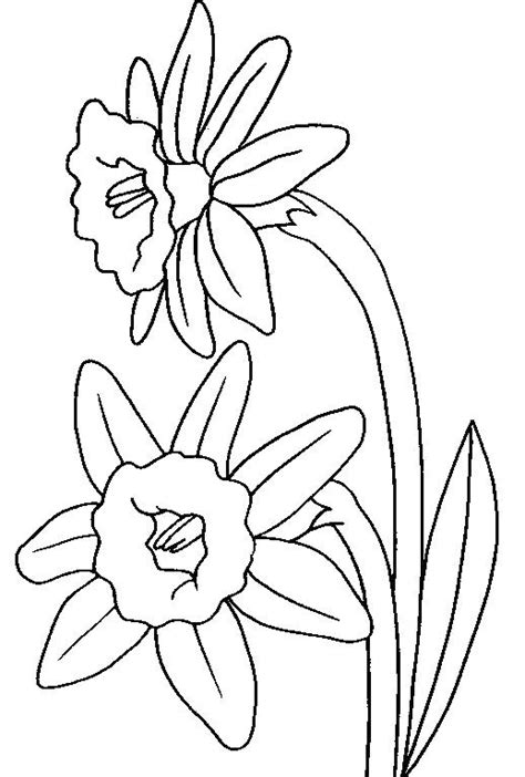 Daisy spring flowers coloring sheets. Daffodil Coloring Page at GetColorings.com | Free ...