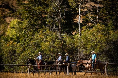 Best Guided Horseback Riding Experiences In Northern Utah Visit Utah